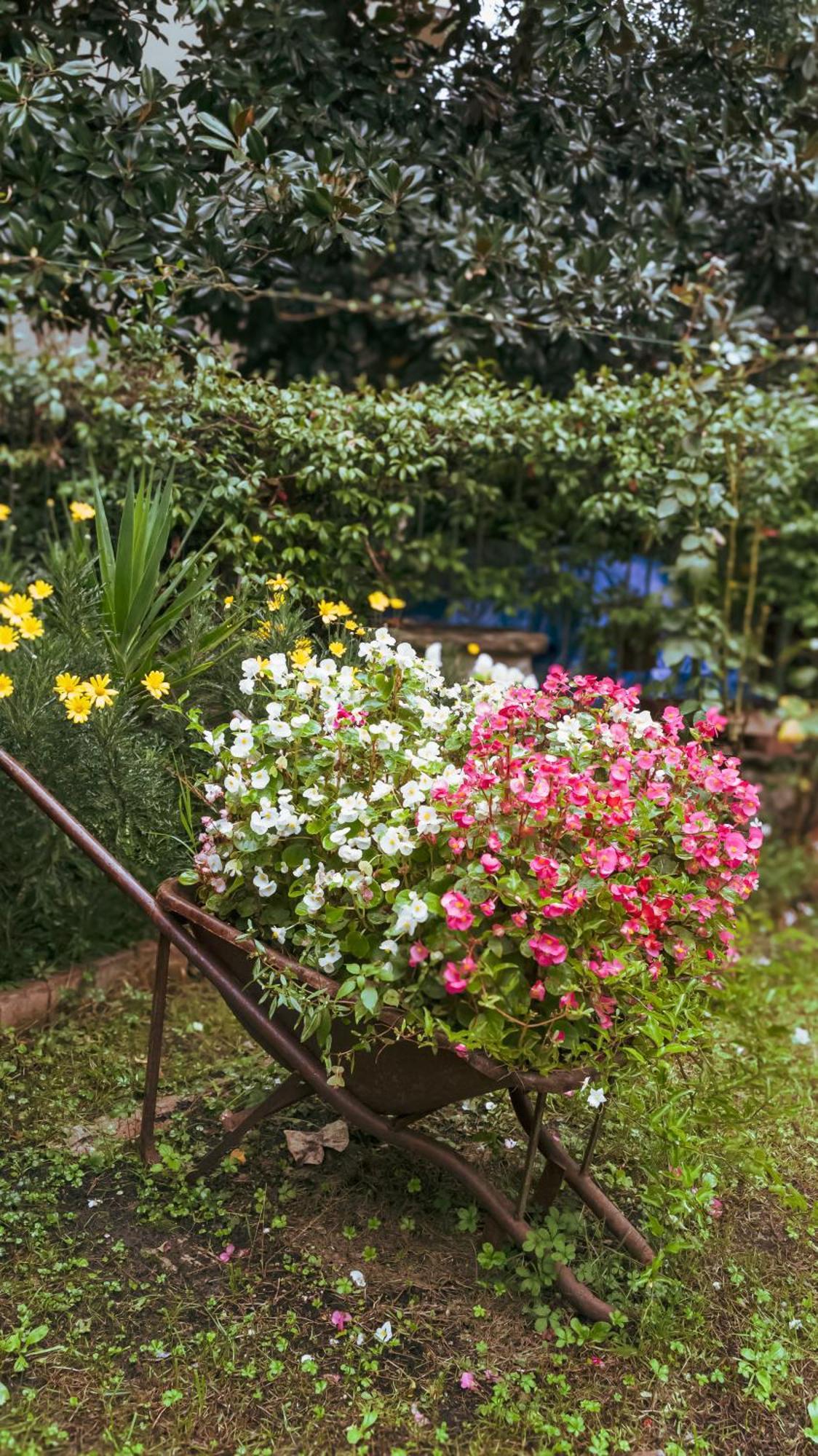 La Serra Sognante, Un Rifugio Incantevole Tra Natura E Relax フィレンツェ エクステリア 写真